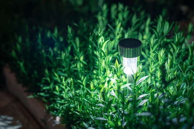 How Our Landscape Lighting Services Enhance Outdoor Spaces