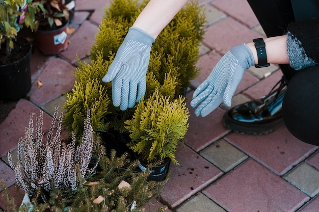 Mastering Kelowna's Climate: Professional Landscaping Services