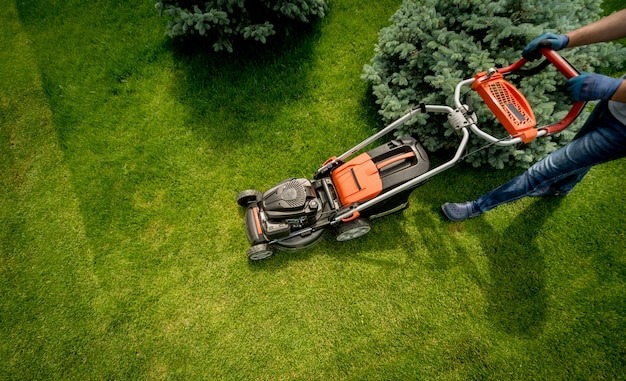Year-Round Landscaping How We Adapt Our Services For Kelowna Seasons