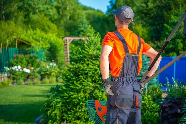 Your Questions Answered Faqs About Our Landscaping Services