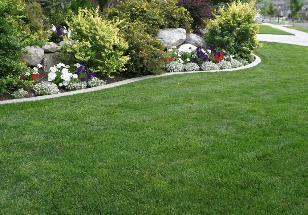 Landscapers in Kelowna