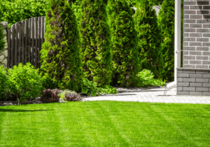 backyard landscaping