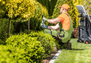 landscaping in kelowna